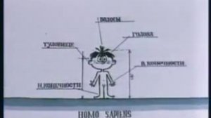 На задней парте