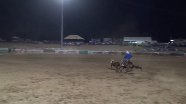 2019 Landmark Classic Final - Pete Comiskey & Nashvale Roy Ell Destiny - 87 смотреть онлайн