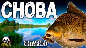 РУССКАЯ РЫБАЛКА 4. СНОВА НАШЛИ ИХ ДОМ ВОТ ОНИ ГДЕ РР4