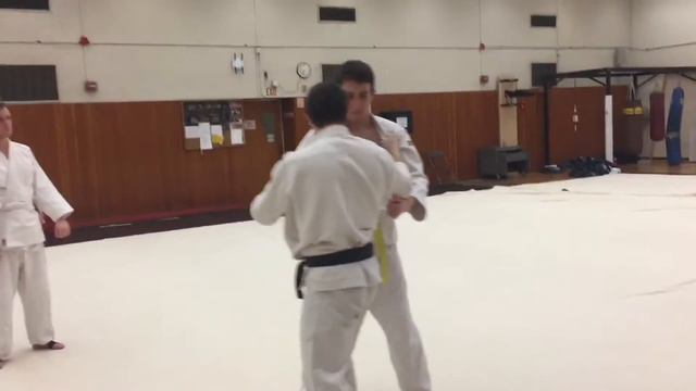 Harai Goshi Instruction 払腰