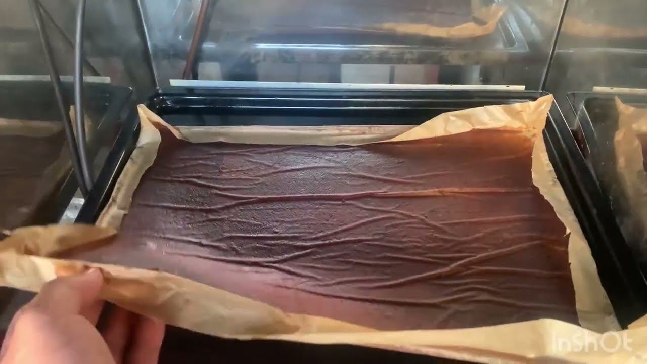 Пастила из яблок в коптильне Астра 220 УПК