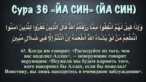 Сура 36 Йа-Син (арабские и русские титры) - Мухаммад Люхайдан