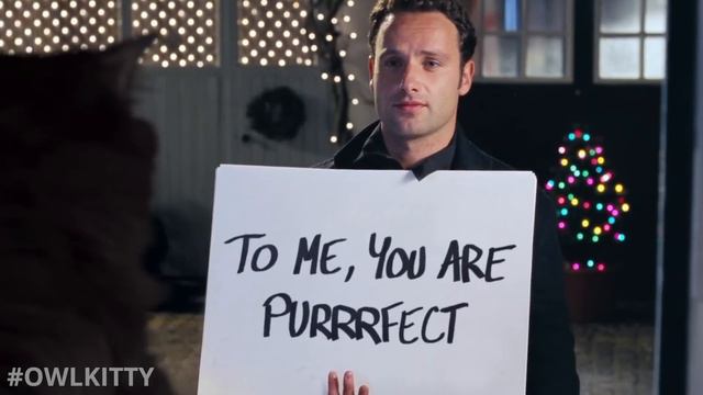 Love Actually But With A Cat (OwlKitty Parody)