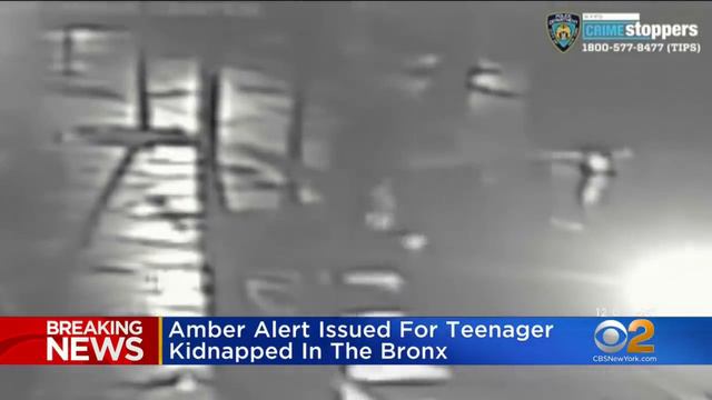 Amber Alert: 16-Year-Old Girl Karol Sanchez Kidnapped While Walking With Mother In The Bronx смотреть онлайн