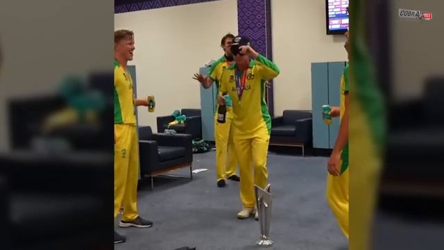 Watch: Australian players drink from shoe to celebrate T20 World Cup win | Cobrapost смотреть онлайн