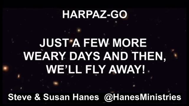 SHELLY’S RAPTURE DREAM | IT’S NOT LONG NOW смотреть онлайн