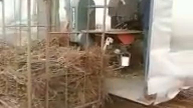 Machinaal rozen rooien in Lottum смотреть онлайн