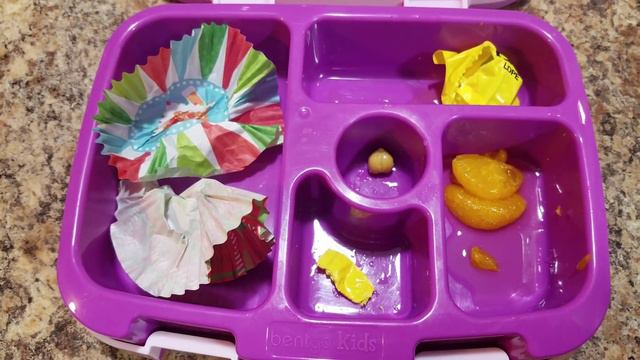 THE LOST LUNCH VIDEO! Fourteenth Week Of School Lunches - +What She Ate