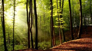 Аскетика для современных мирян.  Разговор   про  раздражительность и  гнев.
Гумеров Павел,священник