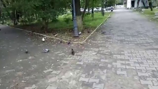 Кофточка Павлиний хвост готова. смотреть онлайн