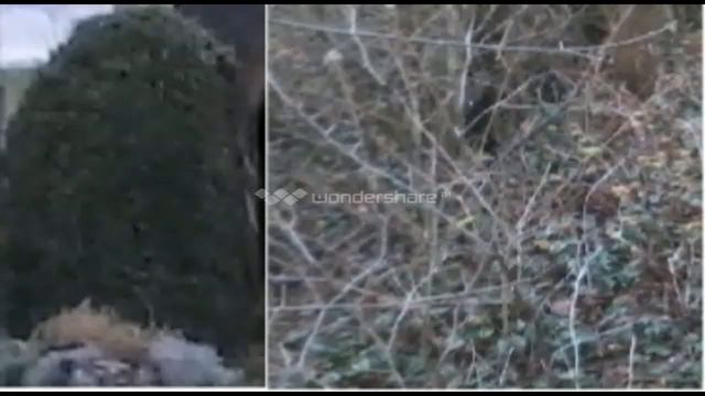 Killer (by Dr. AG) Capture 31 Part 2: The Mafia Boss смотреть онлайн