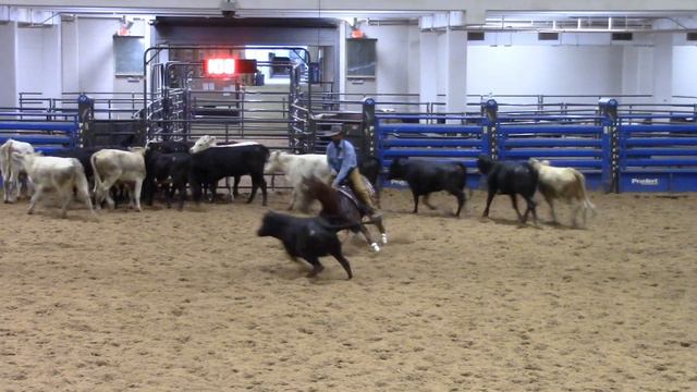 11-12-23 ACHA Last Chance - Belton, TX - Michael Crumpler Jr - HUGHES RUBY JEWEL - 25K NH - 74 смотреть онлайн