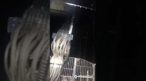 Форвардер/ponsse/elephant/ погрузка