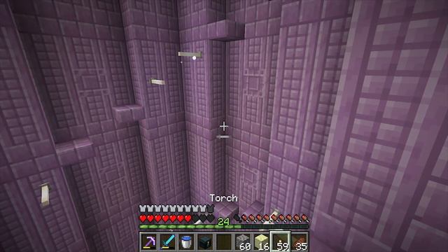 ►Hermitcraft 6 - Ep. 7: SHULKER BROS! (Minecraft 1.13)◄ | iJevin смотреть онлайн