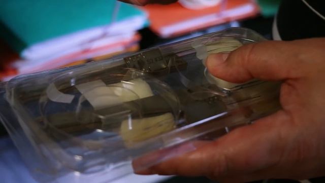 ITER NOW 1.7: The Divertor Section смотреть онлайн