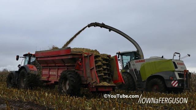 Case IH 300 Optum Working Hard In The Mud During Maize / Corn Chopping | Häckseln 2017