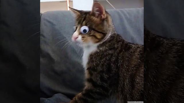 001 (6) смотреть онлайн