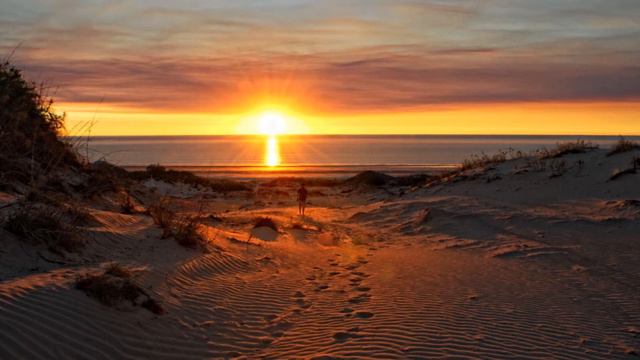 Seamus Haji & Paul Emanuel - Take Me Away (feat. Erire) (Dave Spoon Vocal Mix) смотреть онлайн