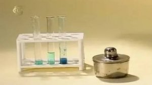 Химия. Получение гидроксида меди (II) и изучение его свойств