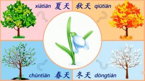 Времена года на китайском _学习四季