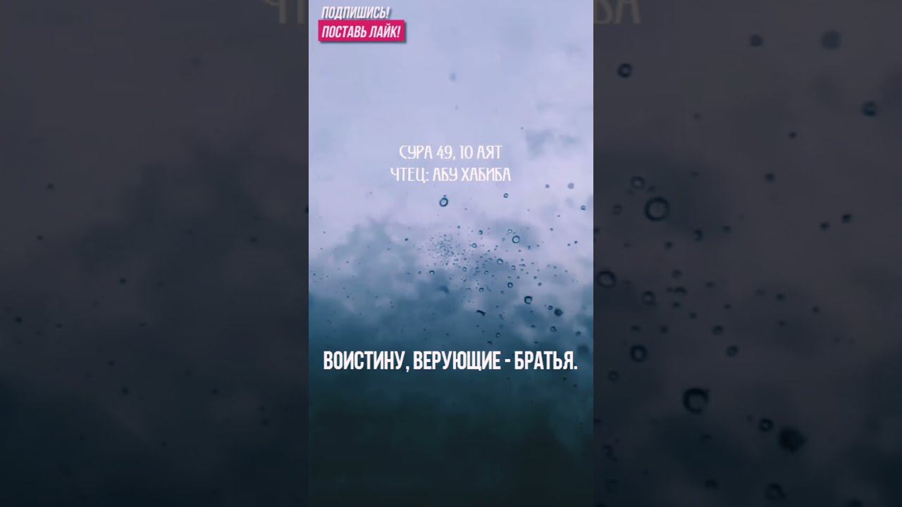 Сура Аль-Худжурат, 10 аят. Красивое чтение корана. смотреть онлайн