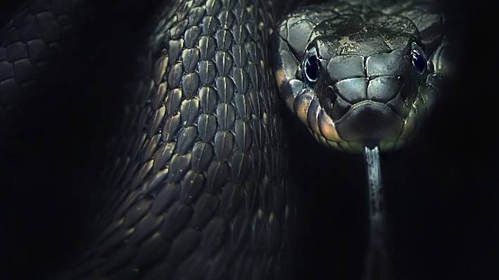 Skyforge Пантеон Оракул(МАСТЕР КЛАСС) Проход 3 кошмара в искажении Е1.Без бАгов.