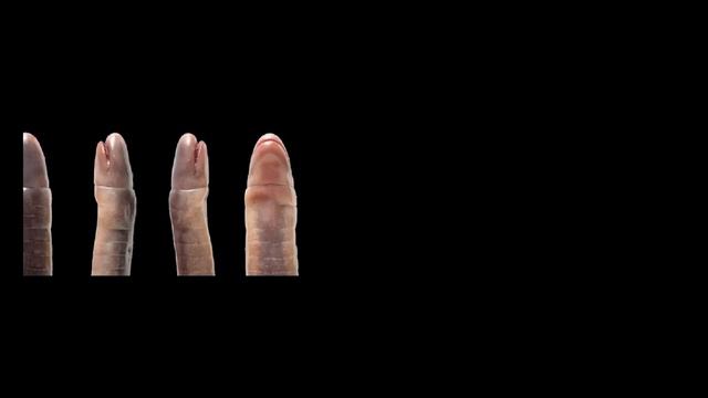 AGRAELUS JE MARTIN ROTA JE ILUMINÁT смотреть онлайн