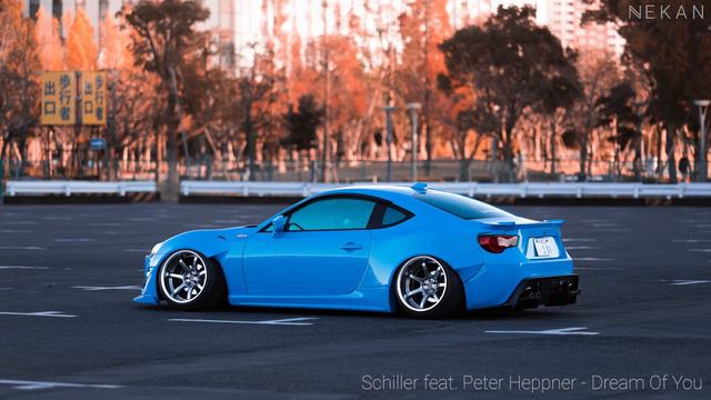 Schiller Feat  Peter Heppner - Dream Of You