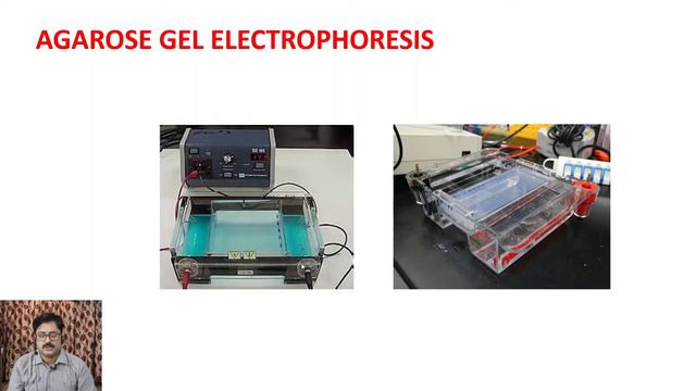 Agarose Gel Electrophoresis Complete Explanation| Gel Casting Gel Running смотреть онлайн
