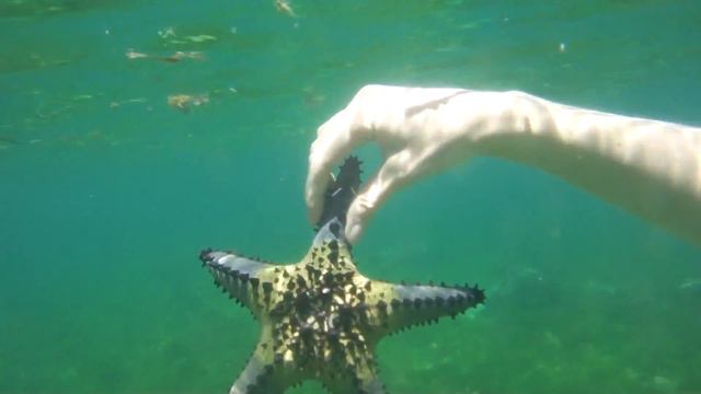 Snorkeling @ Mactan, Philippines