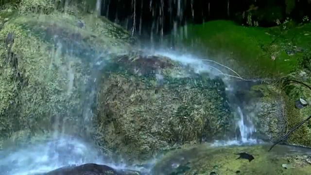 Relax watching waterfall - INESSA GALANTE & Dzintars (INFO) - Motets Mendelssohn смотреть онлайн