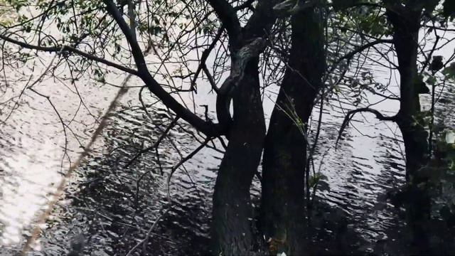 VID 20230524 200124 Вторая натура (Поль Элюар)...Павел Васильев Лахтинский смотреть онлайн