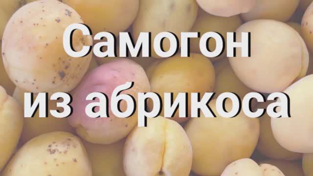 Самогон из абрикоса - ставлю брагу смотреть онлайн