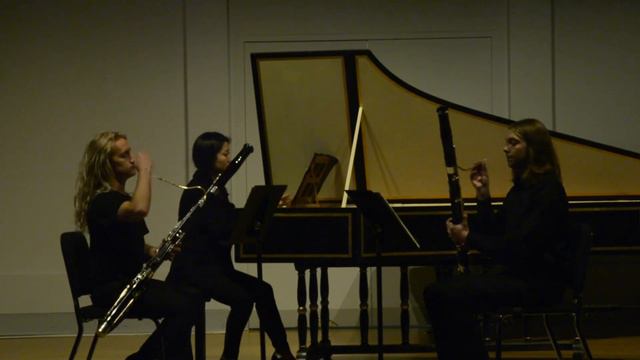Johann Friedrich Fasch Bassoon Sonata in C Major, FaWV N:C1 смотреть онлайн