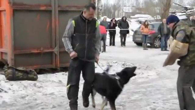 DSC 0208 Летиция де Лютвинс Лобовая смотреть онлайн