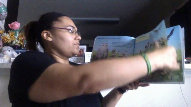 What If There Were No Lemmings? Read Aloud смотреть онлайн