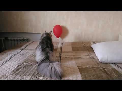 Ларс и красный шарик смотреть онлайн