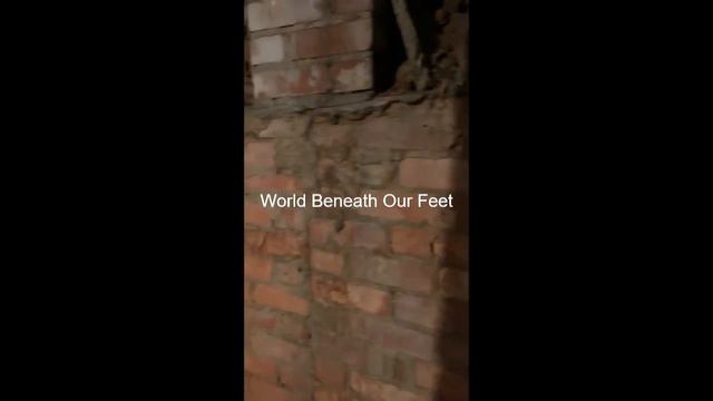 The Mystery Under Main Street: Using the Historic Record to Investigate Urban Legend смотреть онлайн