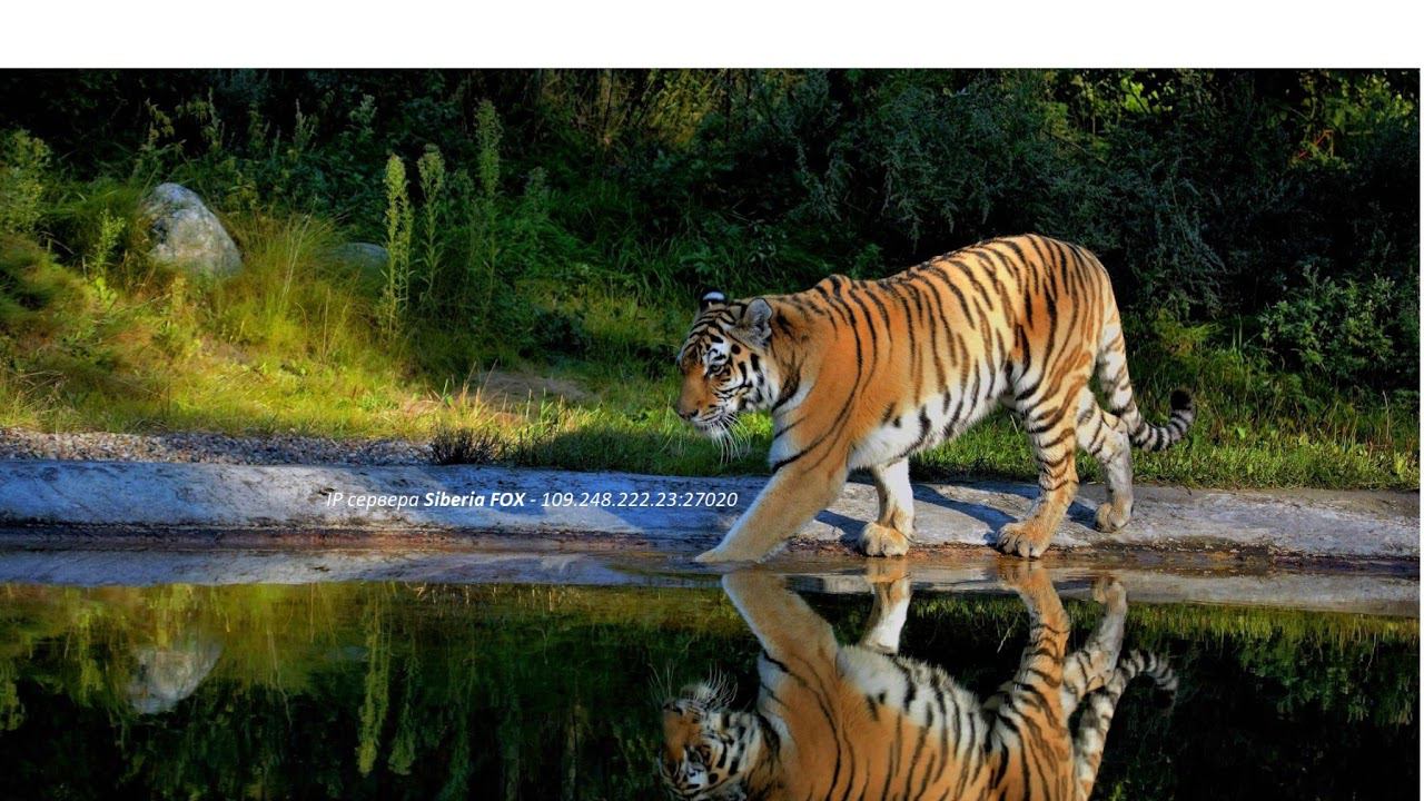 Нас не догонят! смотреть онлайн