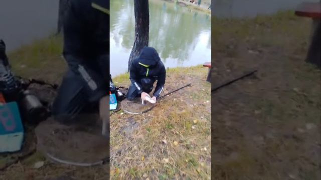 подборка поимок форели смотреть онлайн