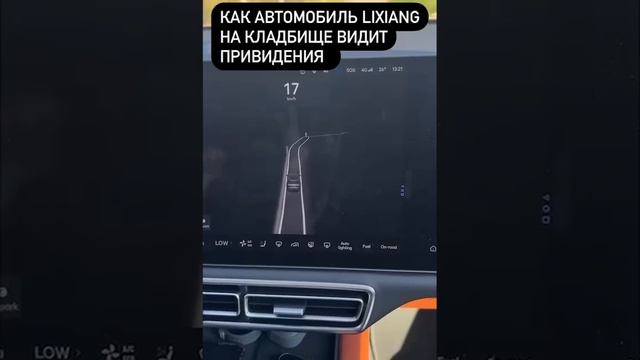 Привидения гуляют на кладбище 😲 смотреть онлайн