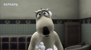 БЕРНАРД: День на природе 3 и многое другое | Подборка серий