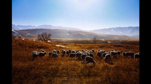 Нурлан Онербаев - Ауылым