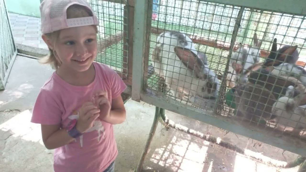 «Конструирование как средство всестороннего развития дошкольников» смотреть онлайн