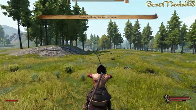 Mount And Blade Bannerlord 2 | Dismemberment Mod