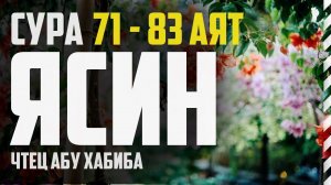 Cура Ясин 71-83 аят. Абу Хабиба