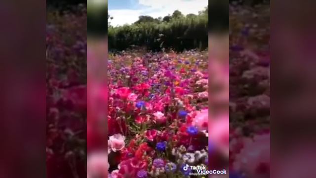 нежность смотреть онлайн