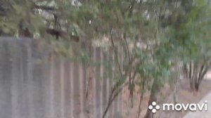 Отпуск 2024 п Новый Свет