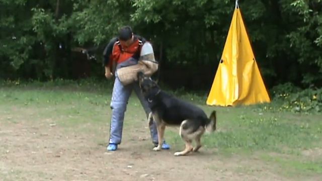 КЛАЙД (Акбар х Барталина)ПРК МОСКВА смотреть онлайн