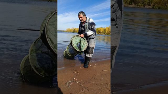 28-09-2024 Отчёт Самарка смотреть онлайн